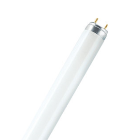 L36840 T8 4'36W Coolwhite Tube